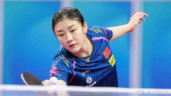 合作的力量 合作的力量