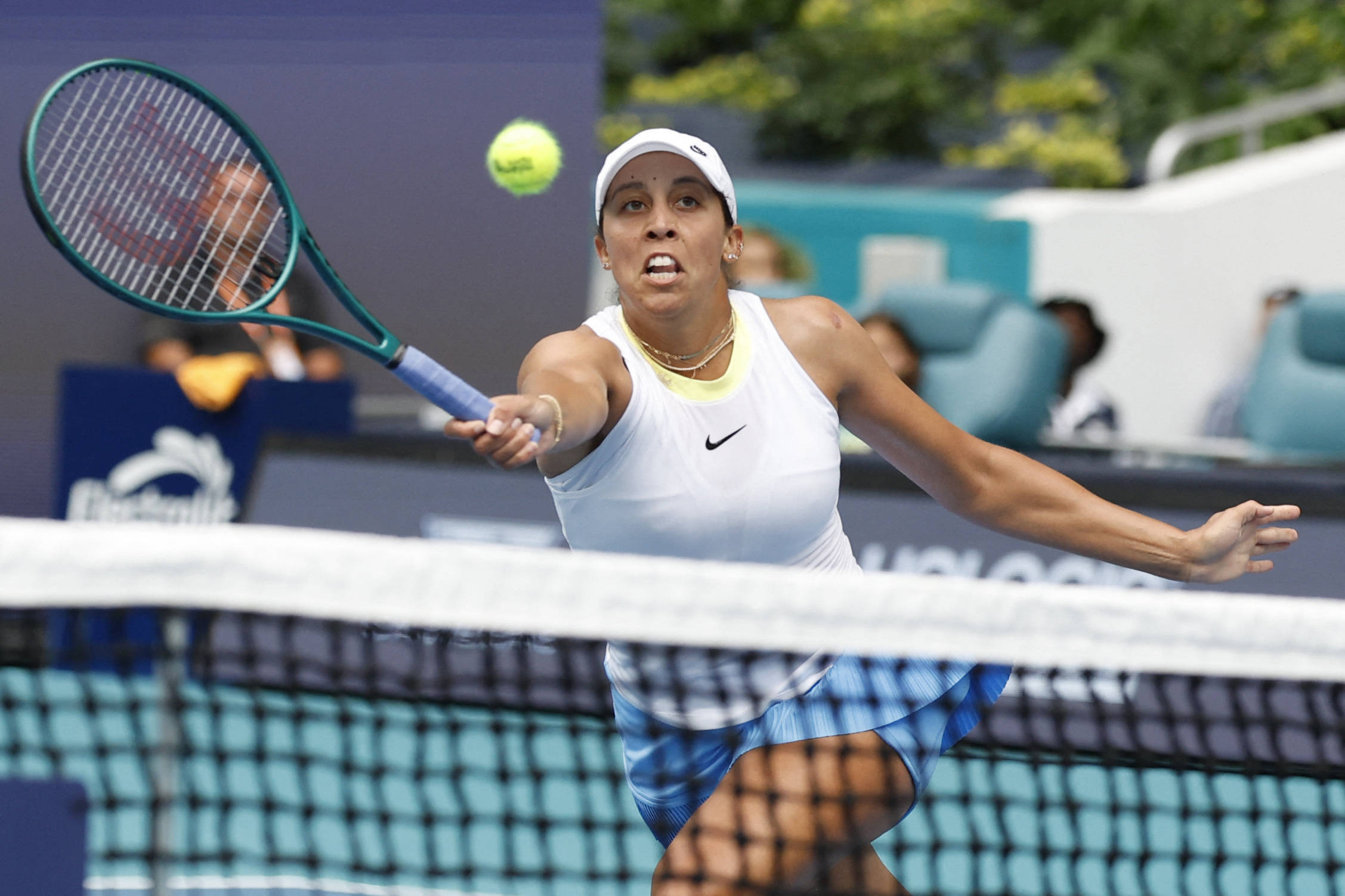 他们或因表 他们或因表