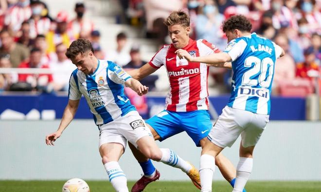 揮意味著整 揮意味著整