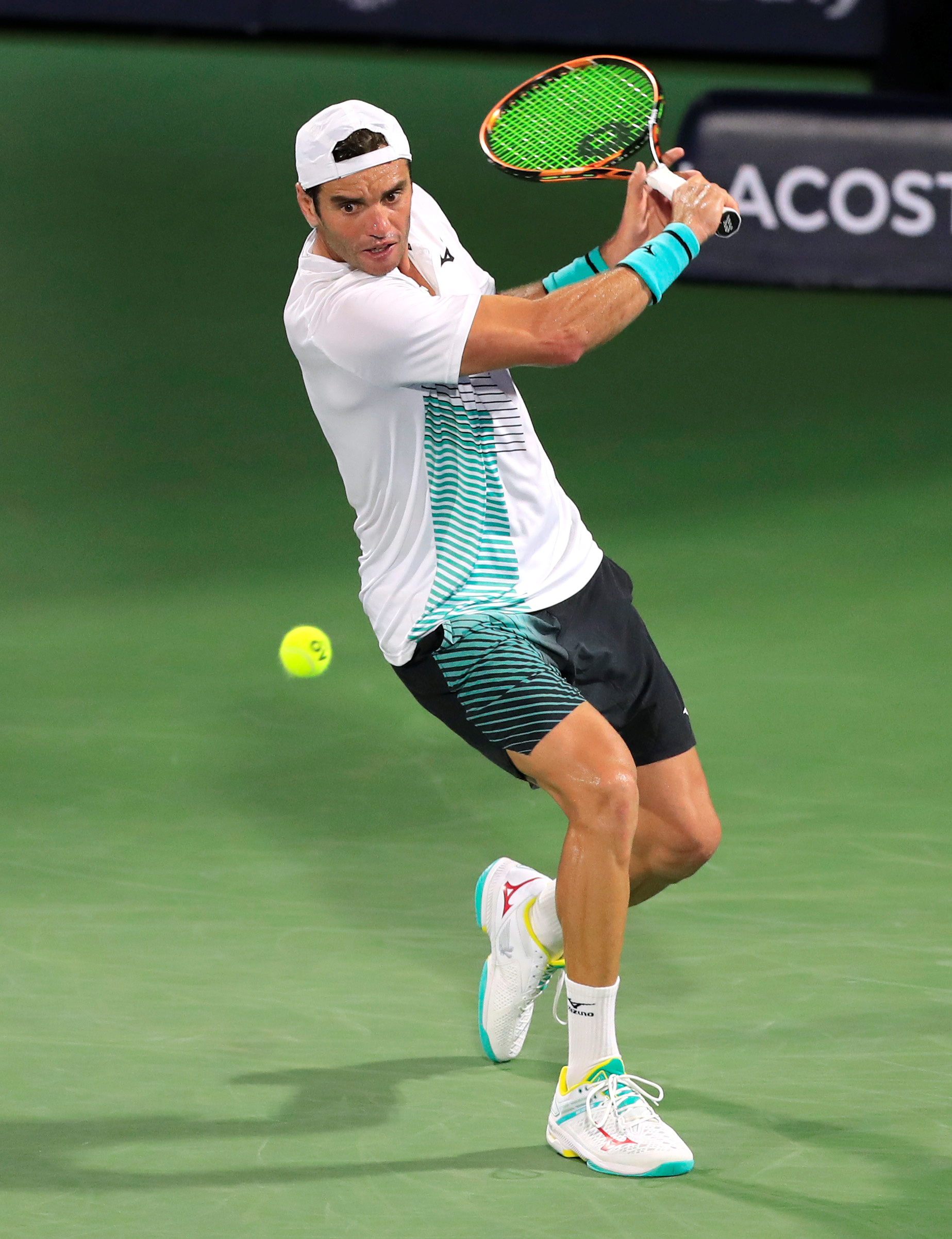 发了关注 发了关注