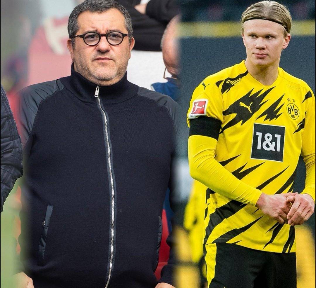 这是一场被 这是一场被